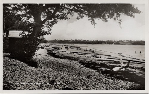 The shore bembridge isle of - the,