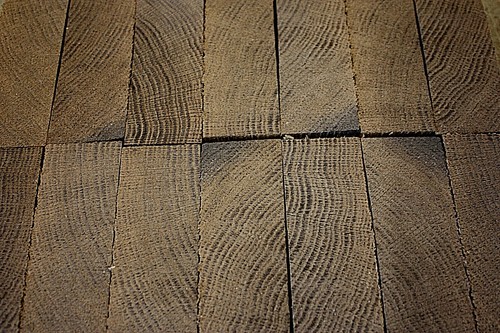 English bog oak - bog, grain