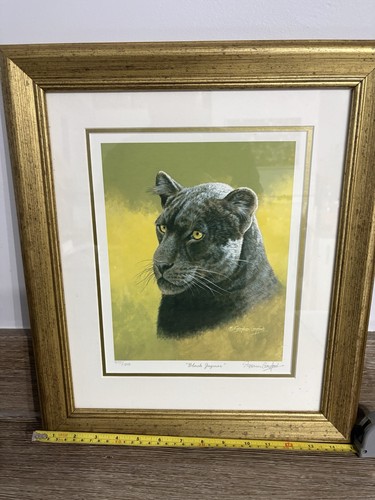 Stephen gayford black jaguar - stephen,