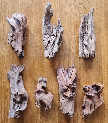 Reptile driftwood for - driftwood,
