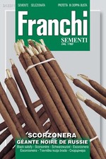 Franchi Seeds Salsify Black Scorzonera seed