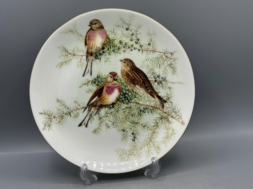 Coalport the linnet john - linnet,