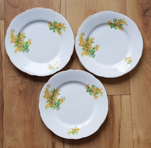 White bone china - china, side