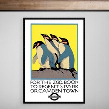 London Zoo Penguin British
