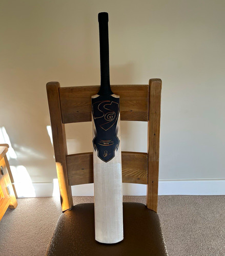 English willow cricket - sg,