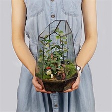 Geometric glass terrarium for - glass,