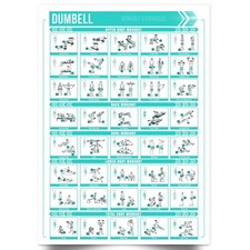 Dumbbell Workout Chart Poster