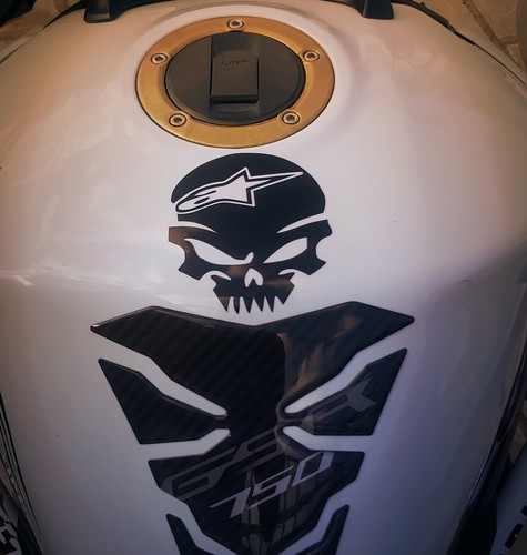 Alpinestars skull vinyl