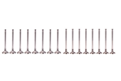 Exhaust valves intake - 8x,