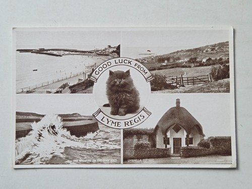 Good luck from lyme - good,