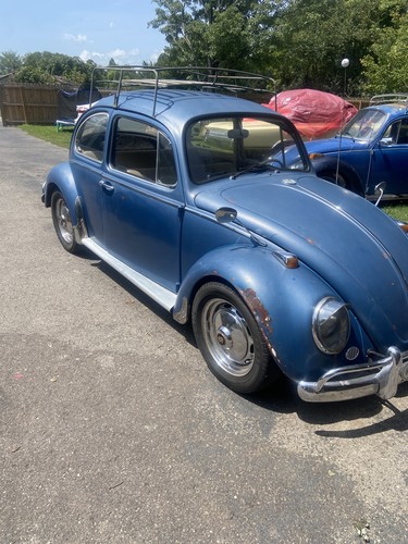 1965 volkswagen beetle - 1965,