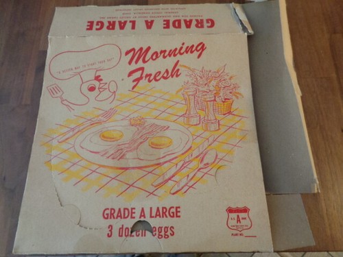 Vintage 1960s morning - vintage, fresh