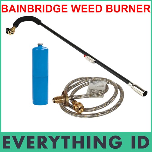 Bainbridge lawn garden - garden, weed