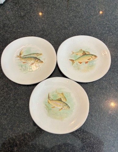 Vintage wedgewood co fresh - &,