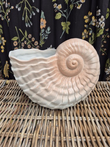 Large ceramic shell nautilus - shell,