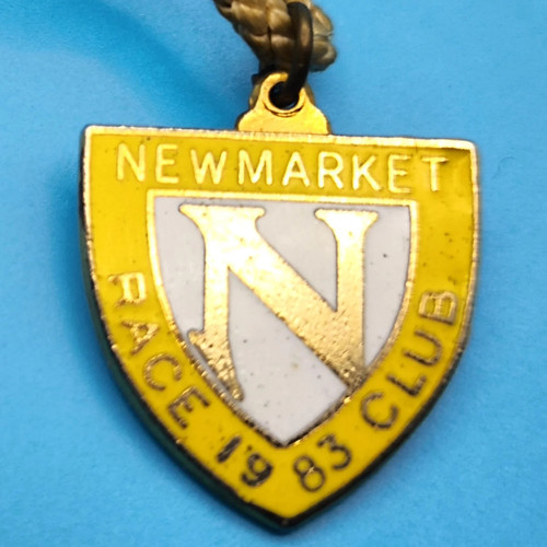Newmarket horse racing - horse,