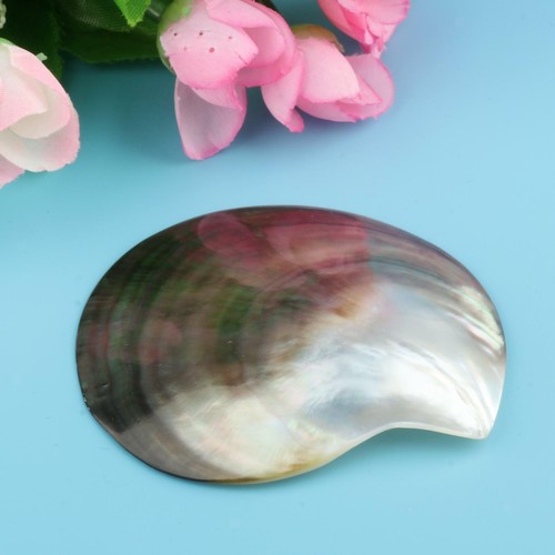 Natural seashells jewelry - natural,