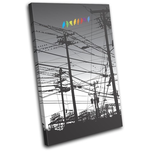 City colour birds wires - colour,