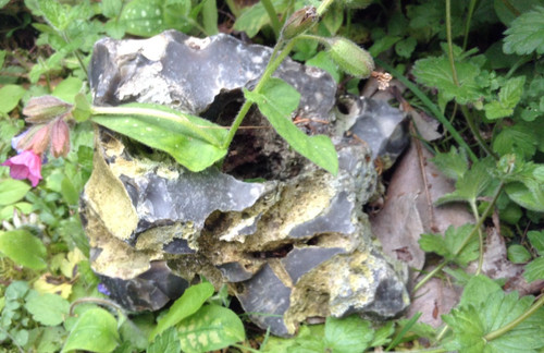 Natural weathered flint - natural,