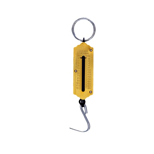 Weighing machine food - 12, kg