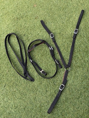 Shetland size webbed bridle - shetland,
