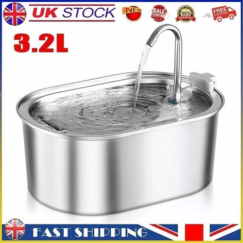 Cat dog pet water - cat,