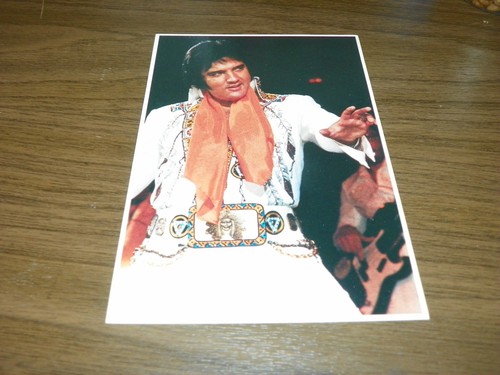 Elvis presley orange - scarf,