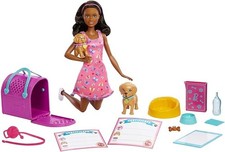 Barbie HKD87 Doll &