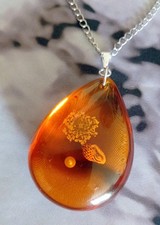 Amber (imitation)  Beeswax 5cm