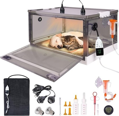 Puppy incubator with - puppy, heating