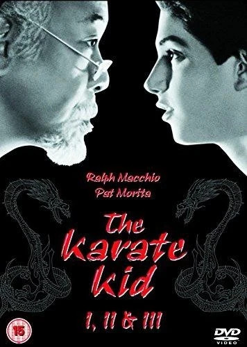 The karate kid - karate,