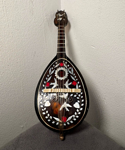 Bowl back mandolin polished - bowl,
