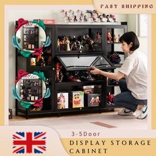 Acrylic Collection Cabinet