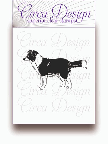 Clear unmounted border - unmounted, collie