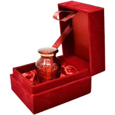 Decorative Mini Urn for Ashes