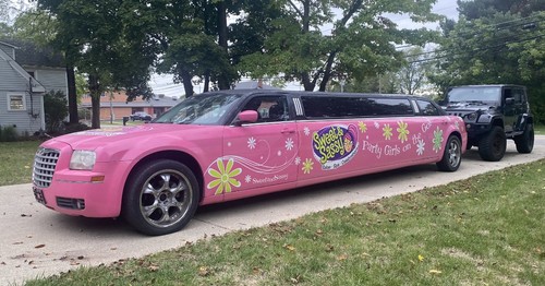 2008 chrysler 300 limousine - 2008,