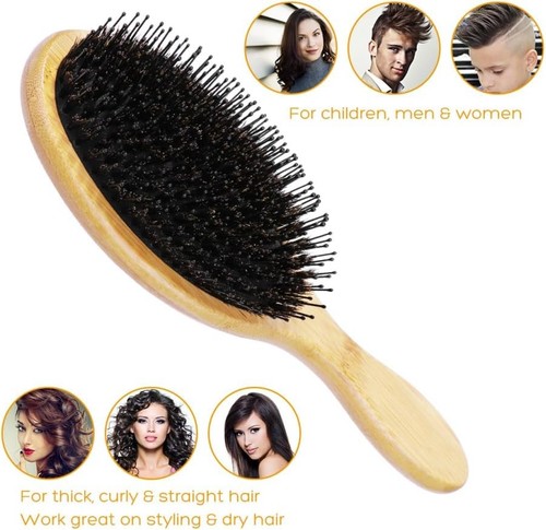 Natural boar bristle hair - bristle,