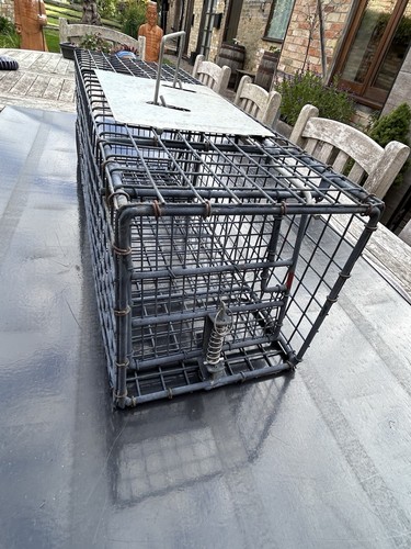 Rodent pest control - control, live