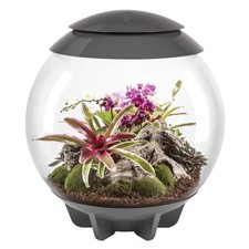 BiOrb Air Terrarium - Grey