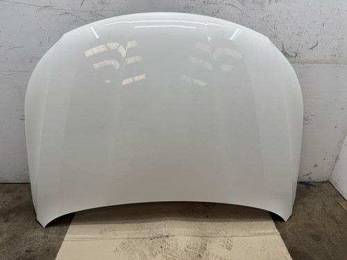 Passat 2011 bonnet white - passat,