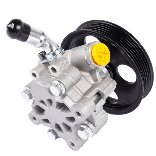 Power steering pump pulley - pump, w/