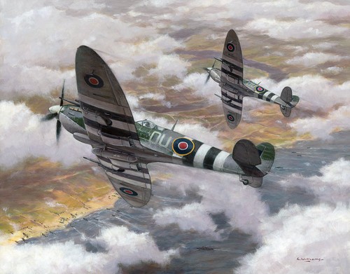 Supermarine spitfire ml407 - supermarine,