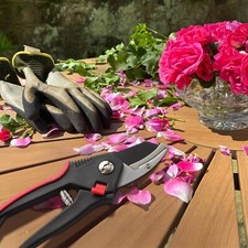 HEAVY DUTY ANVIL SECATEURS
