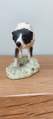 Border fine arts collie - border,