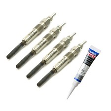 4x Glow Plugs + Mounting