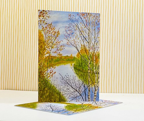Riverbank birch trees - birch,