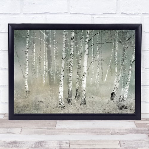 Birch tree pastel - birch, painterly