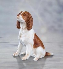 Springer Spaniel Hand Painted