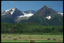 251087 Chetwynd Mountains And Round Hay Bales BC A4 Photo Print