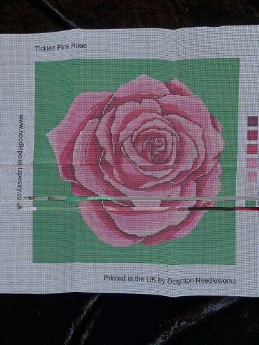 Tapestry canvas only - tapestry,